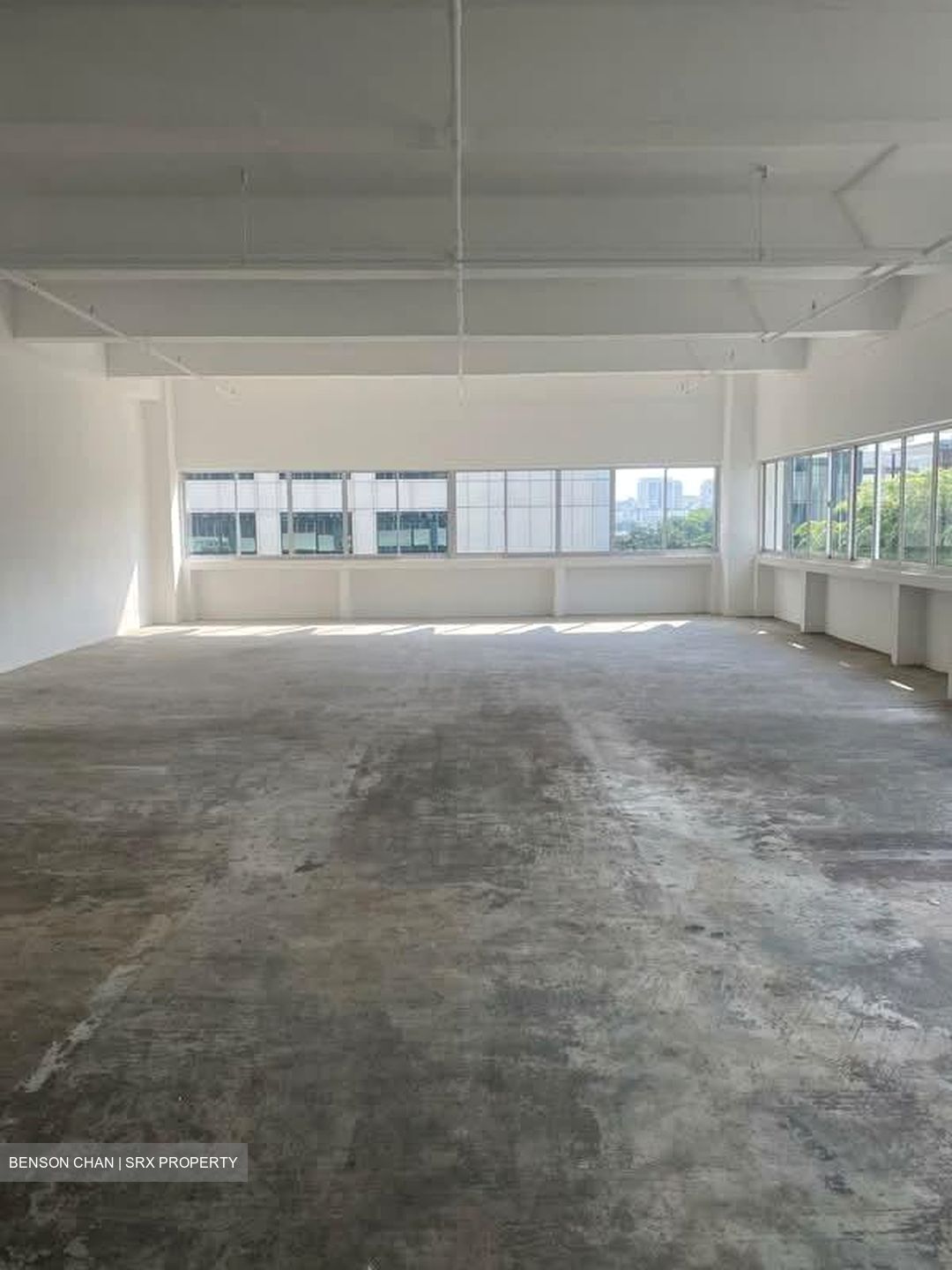 Perfect One (D13), Warehouse #618734791
